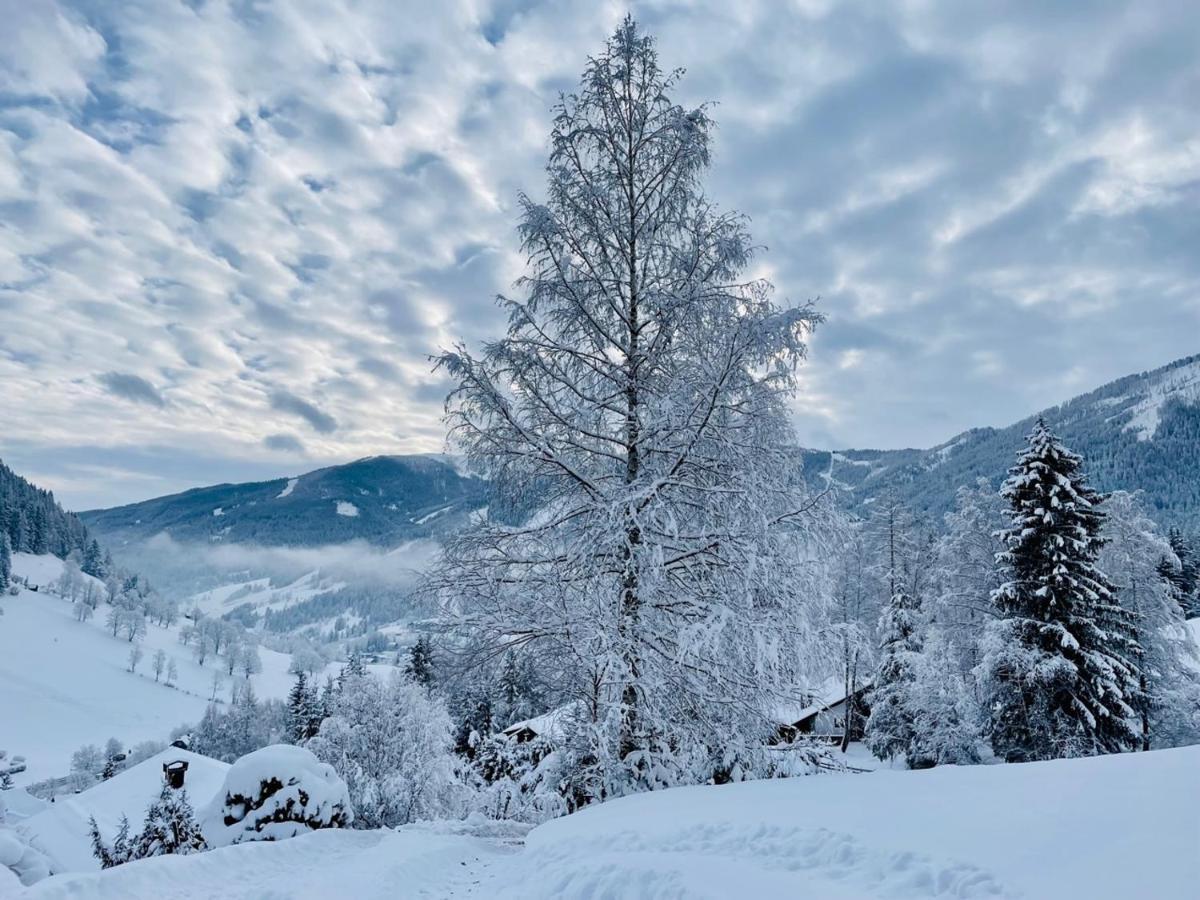 Alpenliebe Apartman Bad Kleinkirchheim Kültér fotó